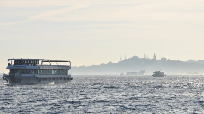 uploaded-image-derin-deniz-balinalari-ve-gocleri-1697118910299