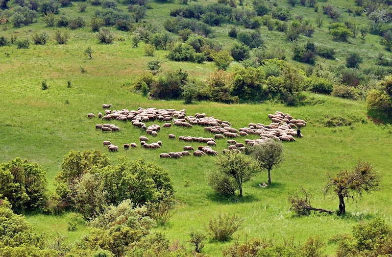 Derin Deniz Biyoprospeksiyon: İlaç Keşfi Derin Deniz Biyoprospeksiyon: İlaç Keşfi